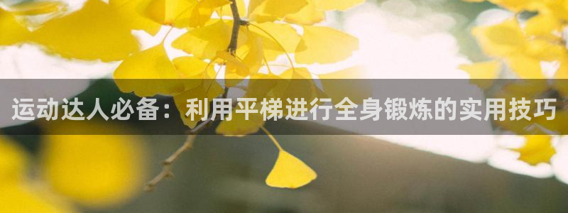 意昂体育4招商电话号码是多少:运动达人必备:利用平梯进行全身