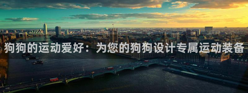 意昂平台体育:狗狗的运动爱好:为您的狗狗设计专属运动装备