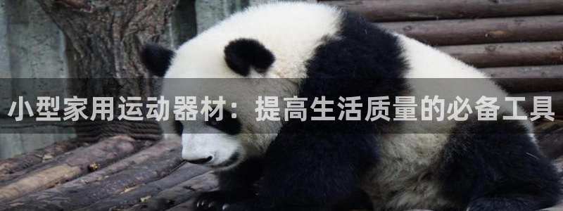 意昂4官方:小型家用运动器材:提高生活质量的必备工具