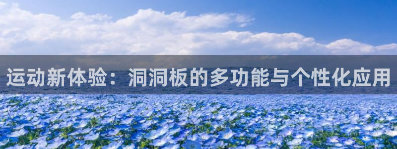 意昂4集团官网网址:运动新体验:洞洞板的多功能与个性化应用