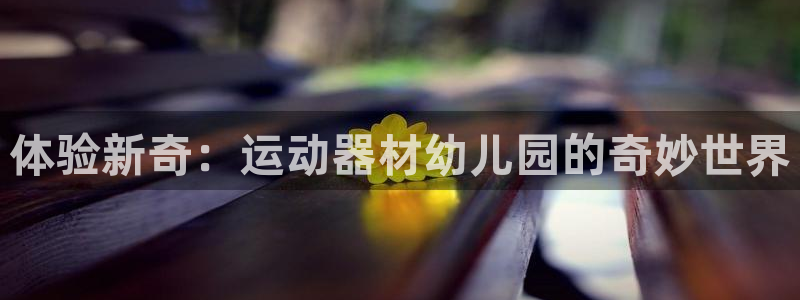 意昂体育4平台注册要钱吗安全吗:体验新奇:运动器材幼儿园的奇