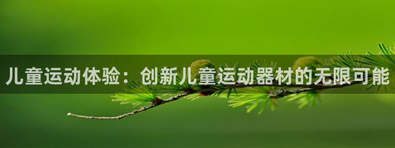 注册意昂4:儿童运动体验:创新儿童运动器材的无限可能